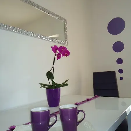 Anita House * توراني